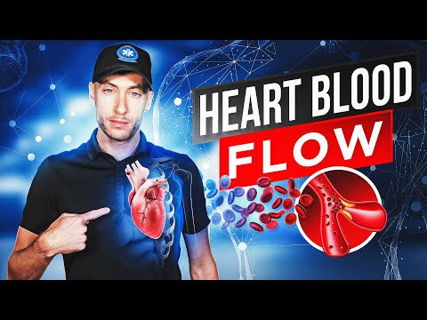 EMT School: Heart Blood Flow | NREMT Review ????