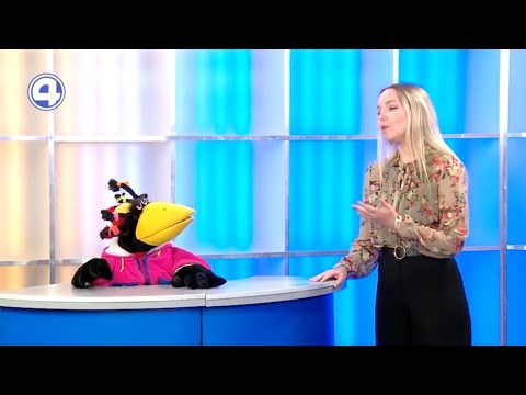 Главный инструмент актёра