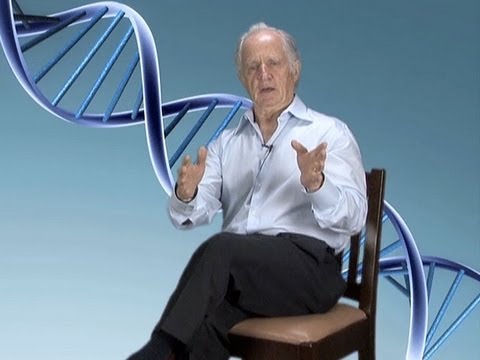 Mario Capecchi (University of Utah/HHMI): The Birth of Gene Targeting