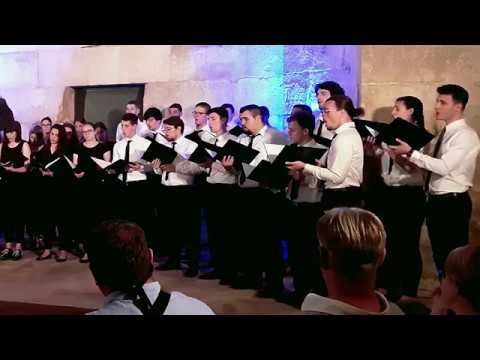 Mixed Choir of Arts Academy in Split - Molitva iz sna (S. Bombardelli)