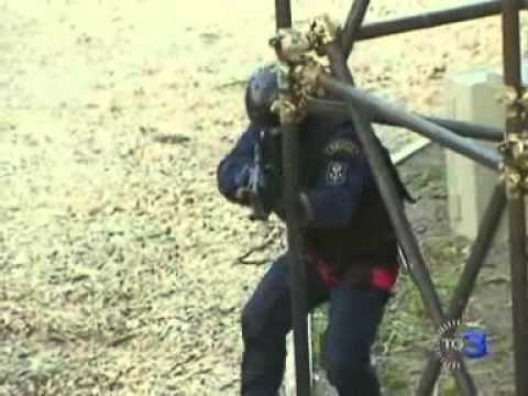 Morsi sul culo per entrare nei Nocs , le teste di cuoio . Caserma Spinaceto Roma