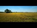 Ennida Nenchile Education Loan Malayalam Movie Official Song