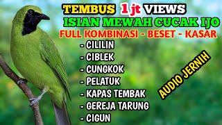 Download lagu CUCAK IJO, MASTERAN CUCAK IJO FULL TEMBAKAN KASAR, MASTERAN CUCAK IJO PART 3. mp3