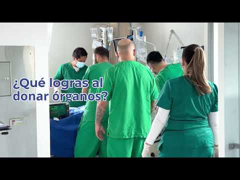 Miniatura del video