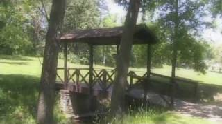 summer summer by The Almost