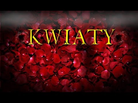 Kwiaty - CreepyPasta (LektorPL)