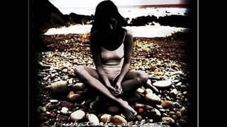 scars of life - mute