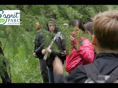 VidÃ©o du sÃ©jour