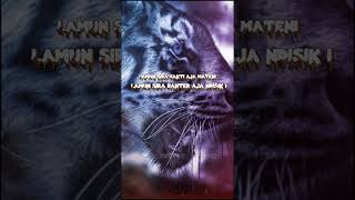Download lagu STORY WA MACAN PUTIH | 30 DETIK TERBARU | NASEHAT DIRI #story #storywa #storywa30detik mp3 Download lagu STORY WA MACAN PUTIH | 30 DETIK TERBARU | NASEHAT DIRI #story #storywa #storywa30detik mp3