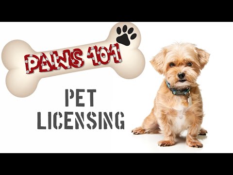 PAWS 101:  Pet Licensing