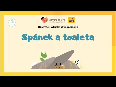 Africká divoká kočka: SPÁNEK A TOALETA - Cats Protection's cats for kids
