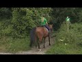 Paarden Platform Lelystad wil 32km aan paardenpaadjes in ere herstellen