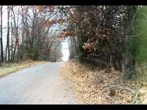 Jivin Scientists - Robot Arms