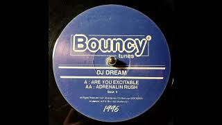 DJ Dream - Are You Excitable
