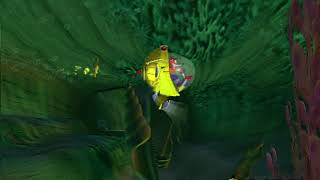 Sea Shell Shenanigans - 16.30