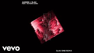 Audien, 3LAU - Hot Water (3LAU DNB Remix/Audio) ft. Victoria Zaro