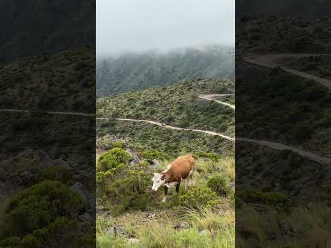 Camino de La Carolina a San Francisco, San Luis #sanluis #argentinaturismo #lacarolina