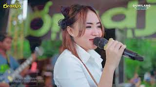 Download lagu FULL ALBUM D'RADJA PASTI AJA - PARTY SEASON 4 PJM ORGANIZER BALONG KEMBANG JEPARA mp3 Download lagu FULL ALBUM D'RADJA PASTI AJA - PARTY SEASON 4 PJM ORGANIZER BALONG KEMBANG JEPARA mp3