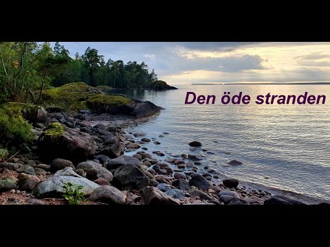Den öde stranden - Ulfonze