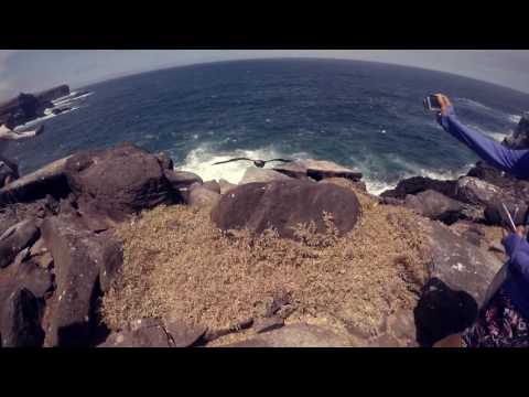 Best of South America 2016