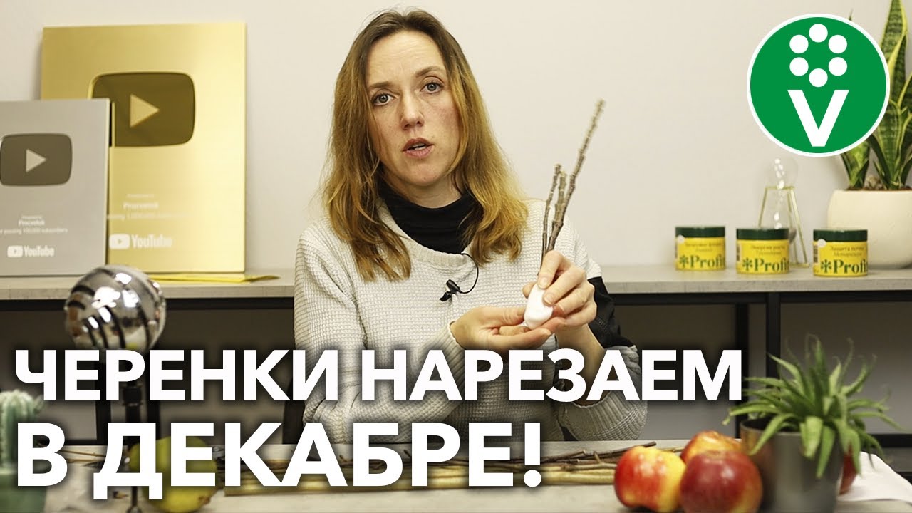 Сбор урожая и хранение плодов