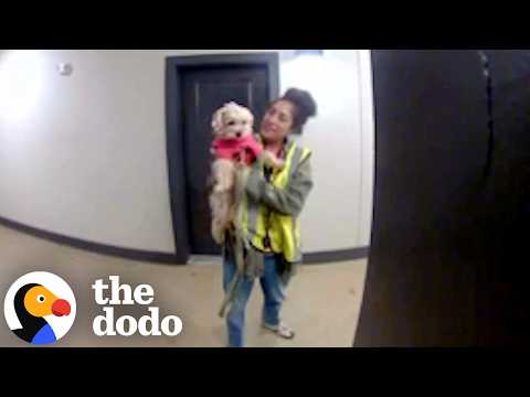 Trash Collector Who Brings Her Dog To Work Gets The Sweetest Surprise | The Dodo