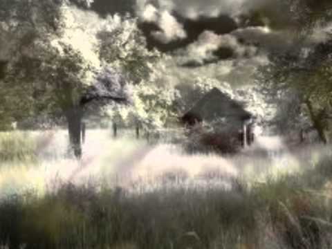 Birdy- Skinny love lyrics