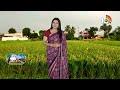 High Yielding in Rice Varieties | అధిక దిగుబడినిచ్చే స్వల్పకాలిక వరి రకాలు | Matti Manishi | 10TV - Video
