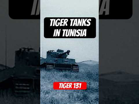 TIGER 131 & THE NORTH AFRICAN HEAVY TANKS