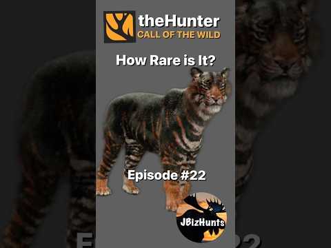 How Rare Is It? Pseudo Melanistic Bengal Tiger| Episode 22 | the Hunter Call of the Wild