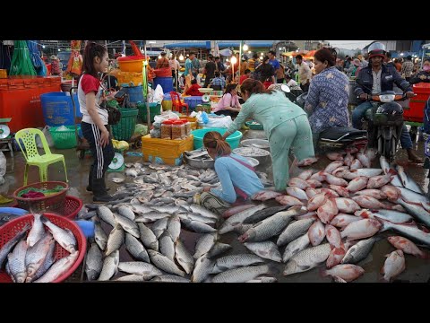 Early Morning Fish Market @Prek Phnov - Fresh Lobster, River Fish, Seafish & More in Fish Market