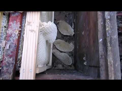 контрольный сот