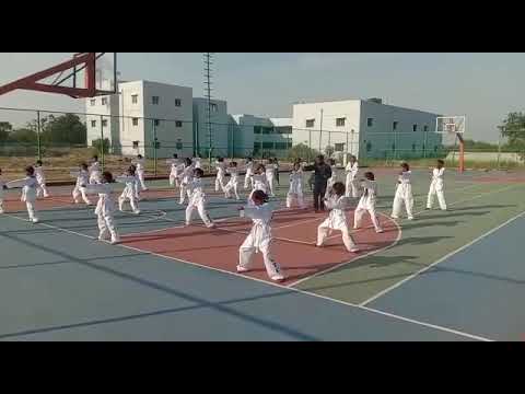 Empowering Focus & Discipline: Taekwondo Training