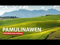 Ilocano Song - PAMULINAWEN featuring Richard Matute