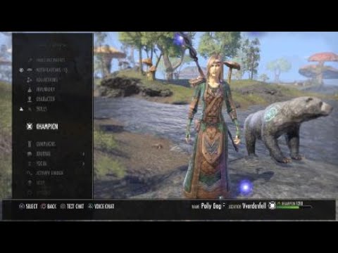 ESO: My Current High Elf Warden PVE DPS / Healer Build, Vestment of Olorime, The Worm's Raiment 2020