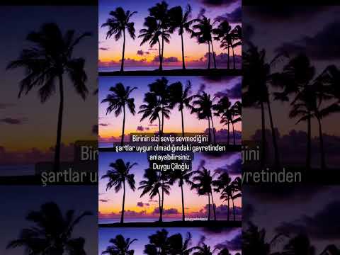 #realylove❤️ #sevginasılanlaşılır