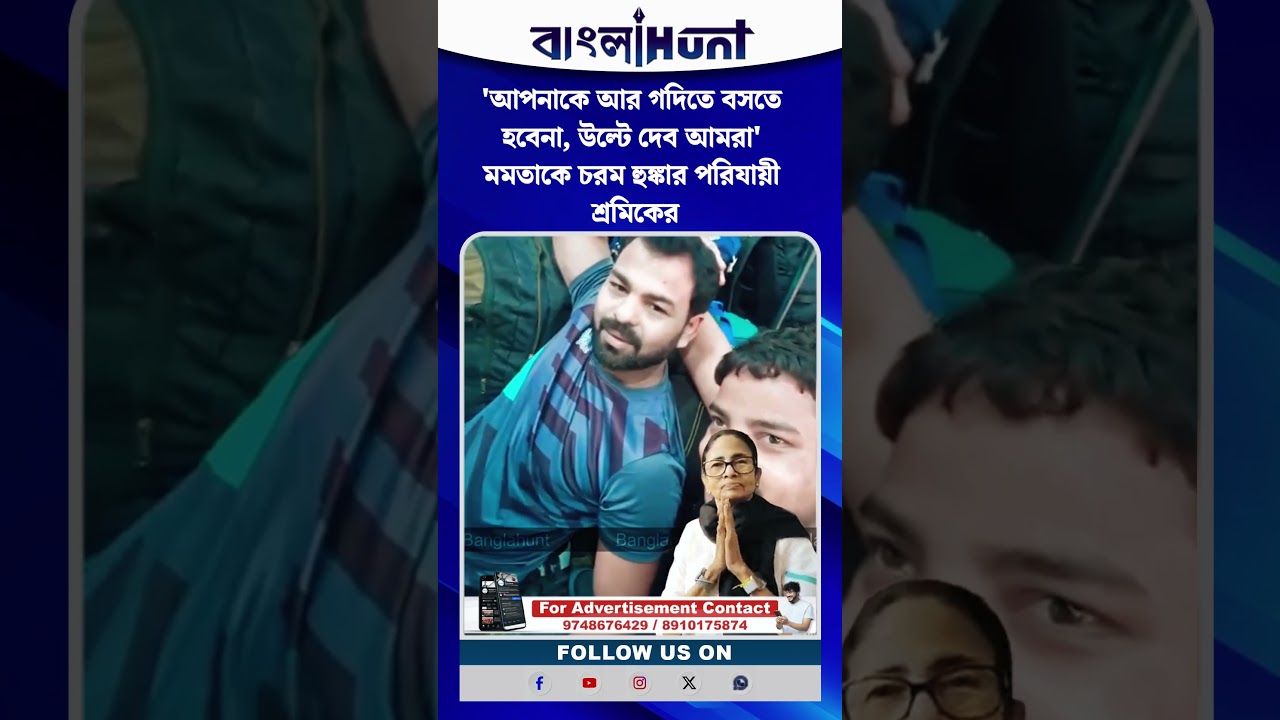 The Art of Baking: From Classic Bread to Artisan Pastries