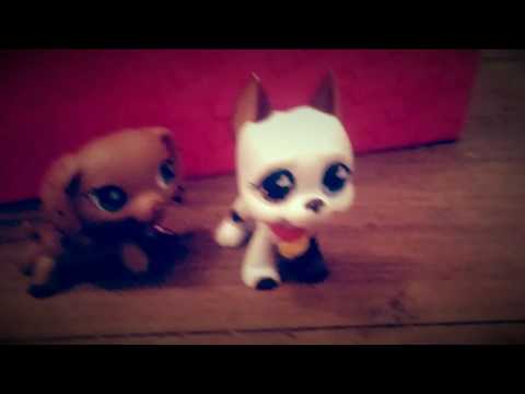 download lagu mp3 mp4 Shoplune, download lagu Shoplune gratis, unduh video klip Shoplune