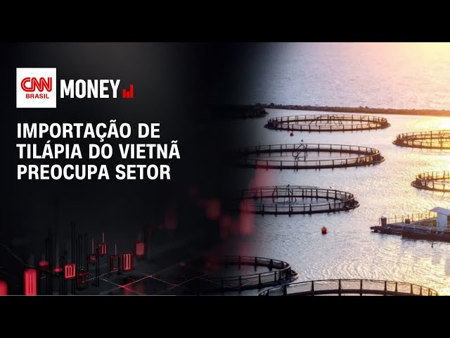 Importação de tilápia do Vietnã preocupa setor | MONEY NEWS