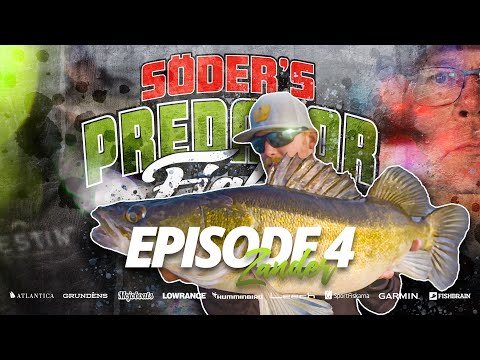 Predator Fight 2021 - Episode 4