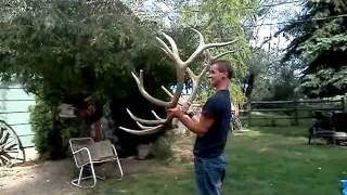 preview picture of video 'Huge 350 class idaho elk sheds 2011'