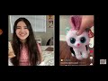 Reacting To Weird Beanie Boo Tik Toks Ha Sa