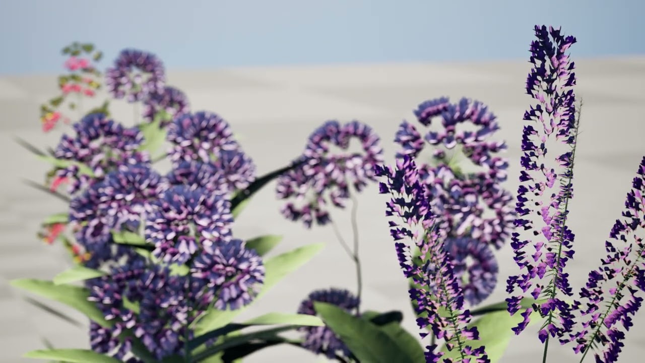 North American Milkweed Collection 3D Model