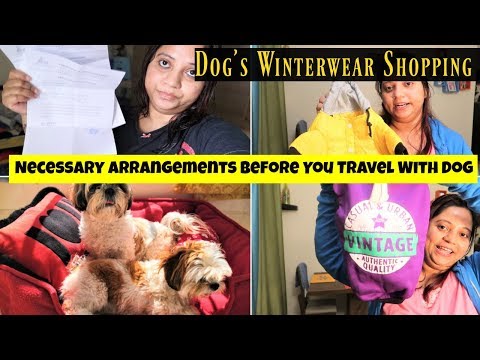Necessary Arrangements Before You Travel With Dog | Winter Wear Haul For Dogs Video