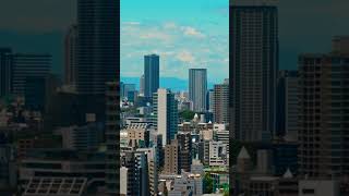 5 BEST places to visit in JAPAN! #shorts #travel #traveltips