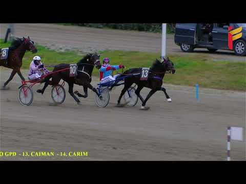 VIII Corsa del 27 Dicebre 2021 - 3 Anni - Metri 1600