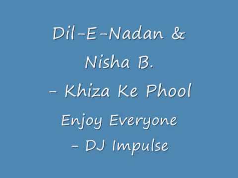 Dil-E-Nadan & Nisha B. - Khiza Ke Phool - Enjoy - DJ Impulse