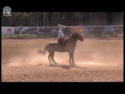 Classificatória Sapucaia (RJ) – 5° lugar fêmeas – Las Callanas Poca Cosa (Prova: Bayard/Sarmento)
