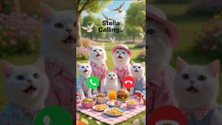 Download lagu Stella calling 🤙🏻✨ #ringtone #youtube #trending #cutecat #calling #foryou #cat #youtubeshorts #viral mp3 Download lagu Stella calling 🤙🏻✨ #ringtone #youtube #trending #cutecat #calling #foryou #cat #youtubeshorts #viral mp3