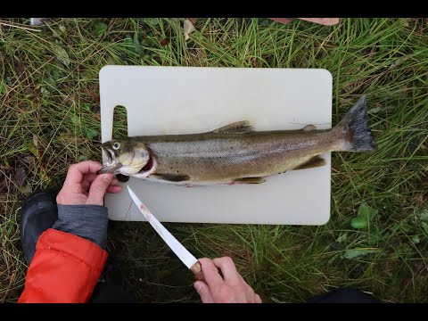 Mukava kalastusreissu muuttuu painajaiseksi ja selviytymistaisteluksi.